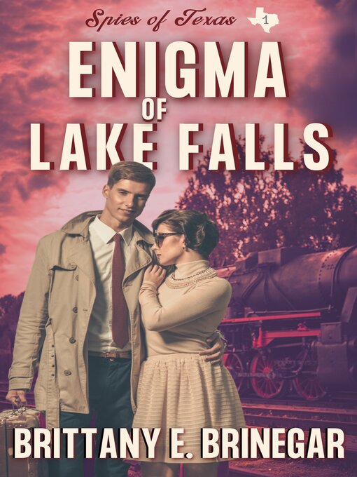 Cover image for Enigma of Lake Falls
